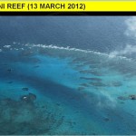 Mabini Reef1